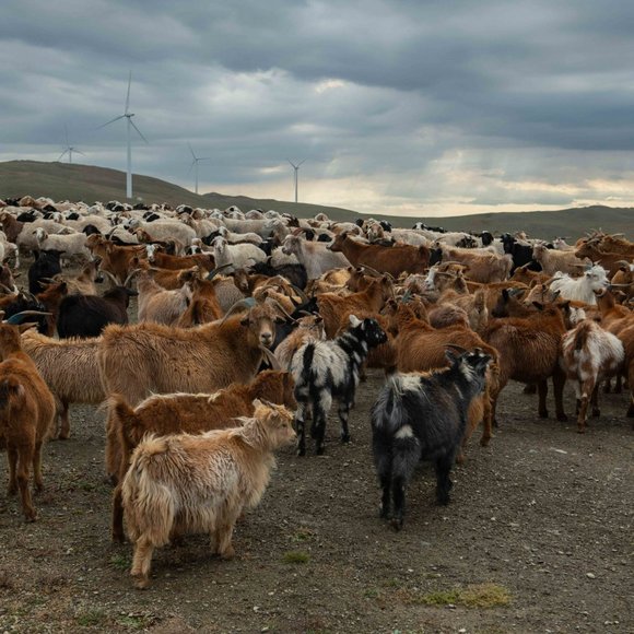 Cashmere Wool Mittens | Warm winter mittens | Best Winter Mittens | Warm Mittens - Picture 6 of 8